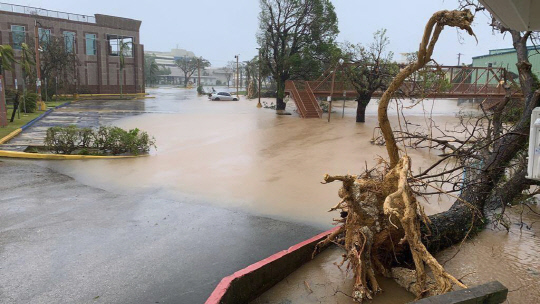 나무 뽑히고 뒤집힌 트럭 나뒹굴고...`슈퍼 태풍` 강타한 괌